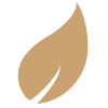 Mindworthy_LeafIcon_100x100
